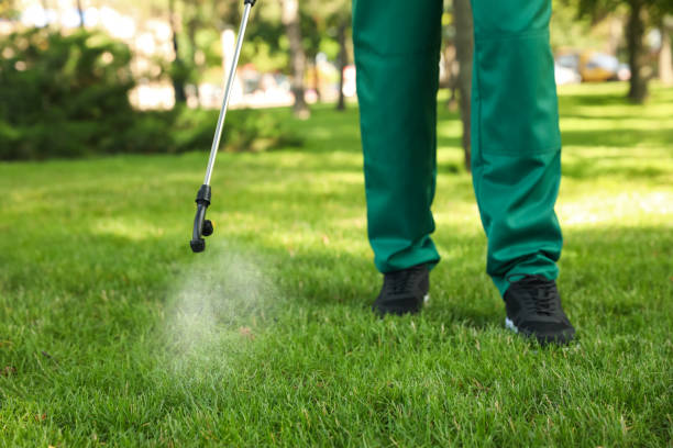 Best Insect Control  in La Croft, OH